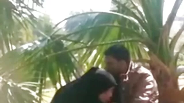 वयस्क कोई पंजीकरण  बड़े स्तन मुंडा बिल्ली श्यामला bf पिक्चर सेक्सी मूवी काले आदमी बेकार है